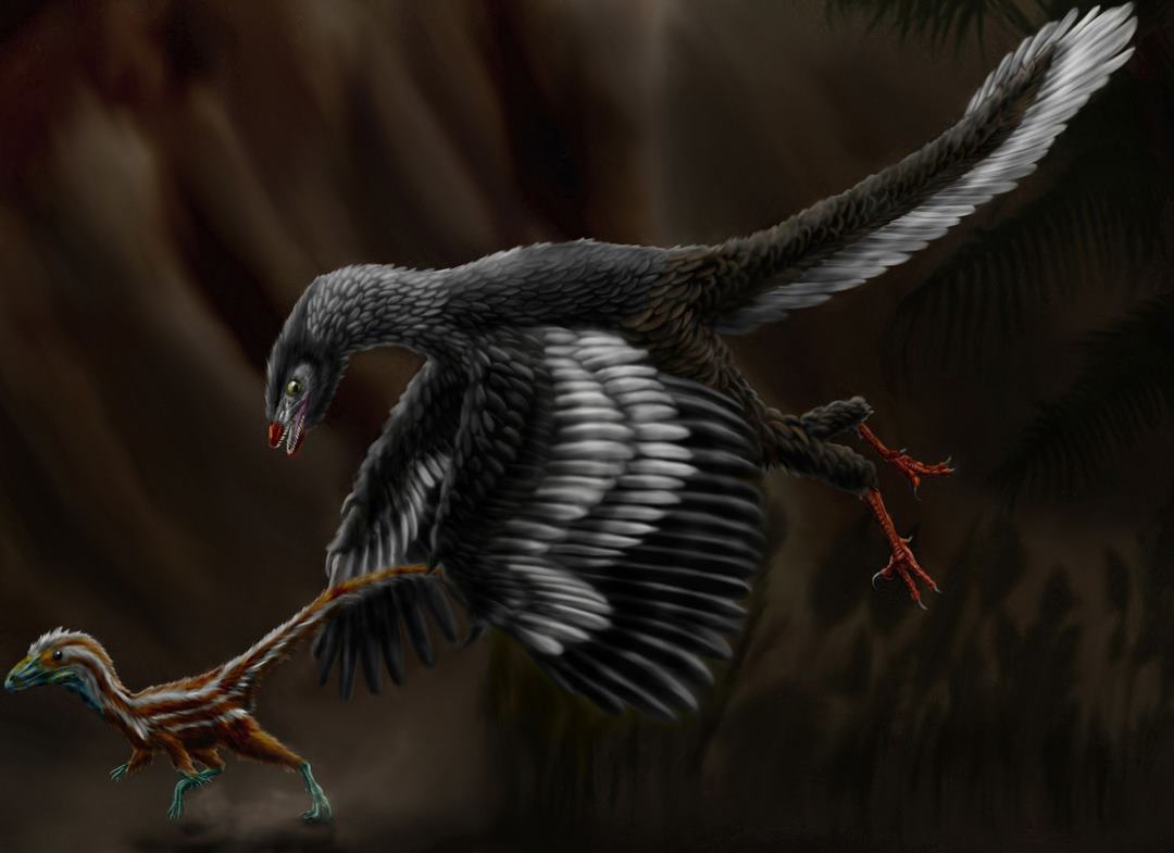 Chim Archaeopteryx được tiến hóa từ loài bò sát nhỏ sinh sống trên cây