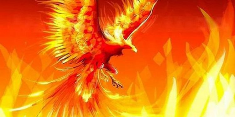 Chim Phượng Hoàng không có thật trong đời sống