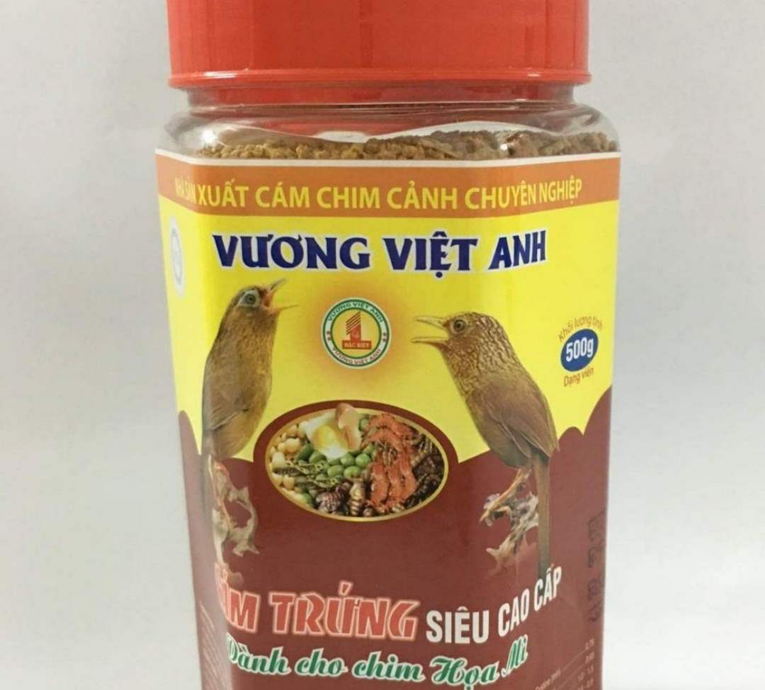 Cám cho chim sẻ Vương Việt Anh