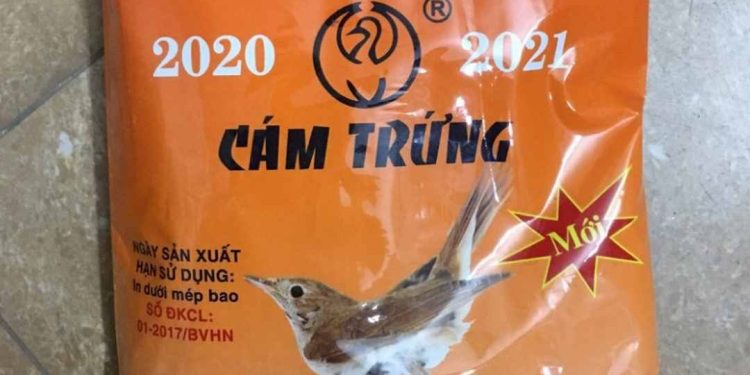 Cám cho chim sẻ trên thị trường có những loại nào tốt?