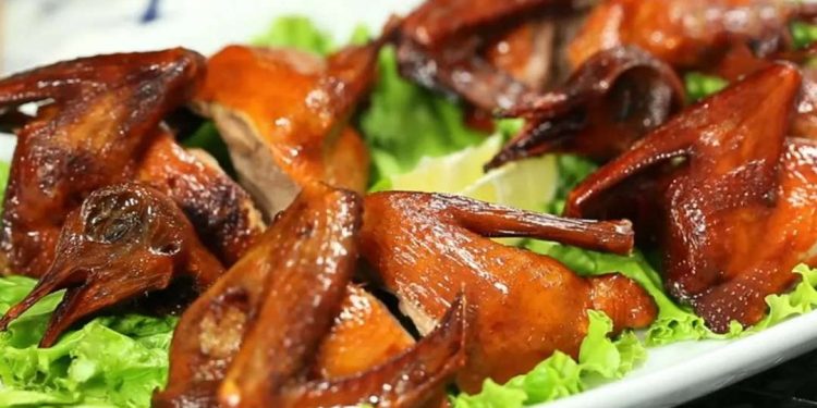 Món ngon từ chim bồ câu mà bạn không thể nào bỏ qua
