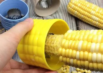 Thức ăn cho chim bồ câu theo từng nhóm nguyên liệu