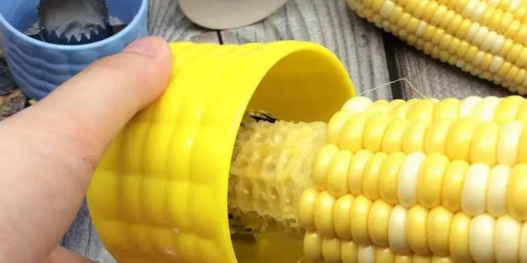 Thức ăn cho chim bồ câu theo từng nhóm nguyên liệu