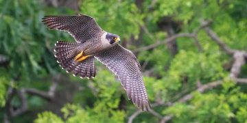 Hướng dẫn cách bạn chọn lựa phù hợp