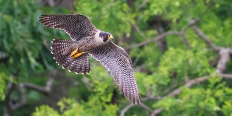 Hướng dẫn cách bạn chọn lựa phù hợp